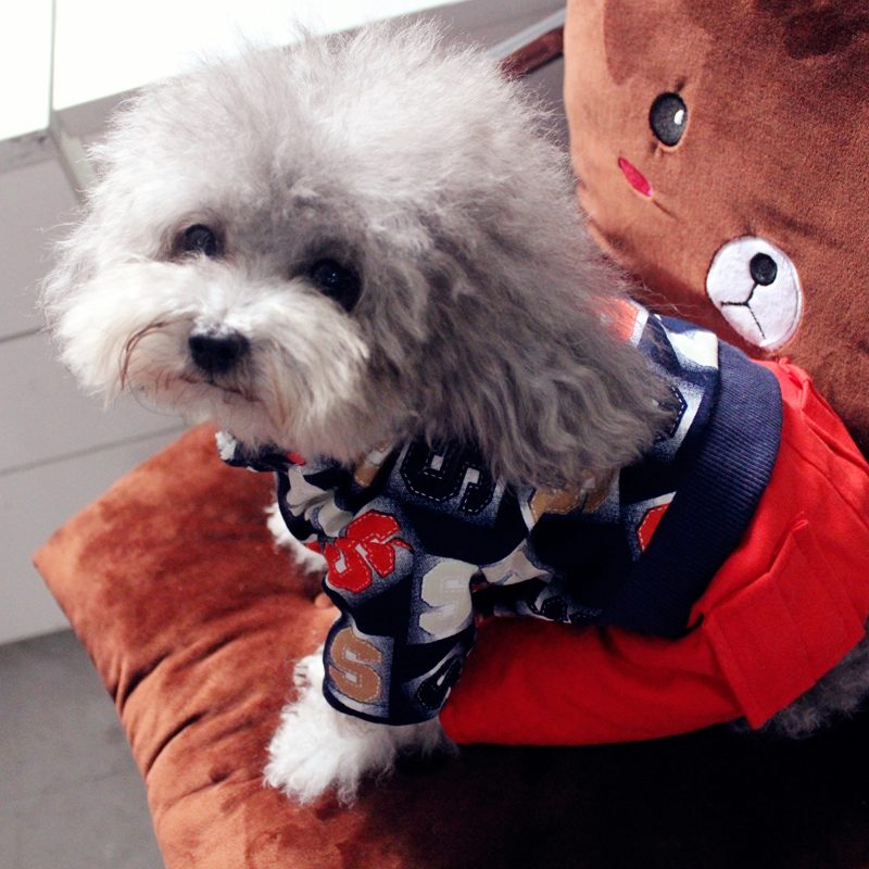 泰迪狗狗比熊貴賓犬雪納瑞寵物衣服秋冬裝